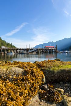 Low tide at Horseshoe Bay in British Columbia Canada on a blue sky sunny day