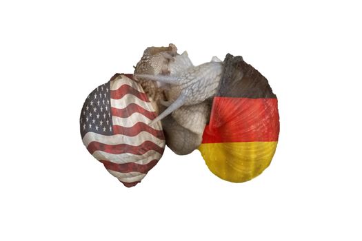Two vine snails at Lovemaking. On the snail shells once the flag of America and on the other the German national flag. Concept German American Friendship.