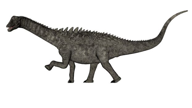 Ampelosaurus dinosaur walking isolated in white background - 3D render