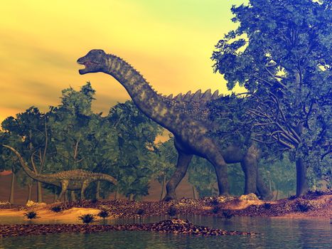 Ampelosaurus dinosaur walking among gingko trees by sunset - 3D render