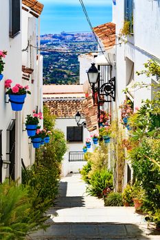 Closeup shot of street of flowers and plant pots, Mijas, Andalucia, Spain