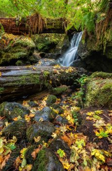 A Small Waterfall in the Mountains of California, Color Image