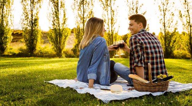 Shot of a happy couple enjoying a day in the park and making a toast