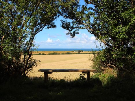 Scenic Viewpoint with Bench Sea Horizon and Crop Fields