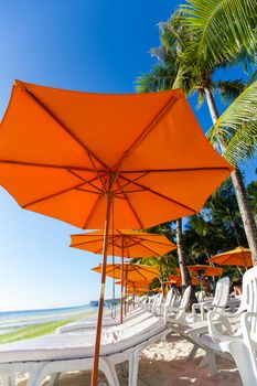 Many chairs and umbrella on sea beach under swaying palms