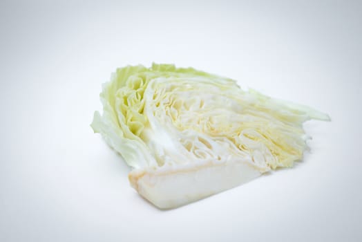 sliced cabbage on white background