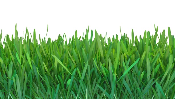 green grass nature. plants lawn. 3d rendering