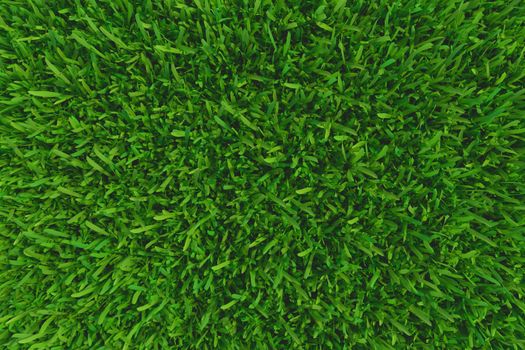 Green grass. background texture. fresh spring green grass. 3d rendering