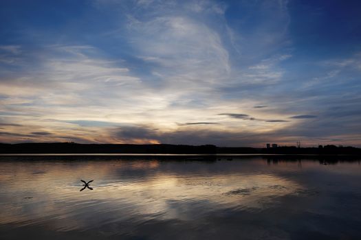 Sunset on the city pond with the reflection of the sky in the water and the seagull