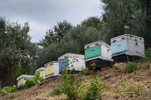 Several hives of different colors pose on tires in the countryside on the island of Crete