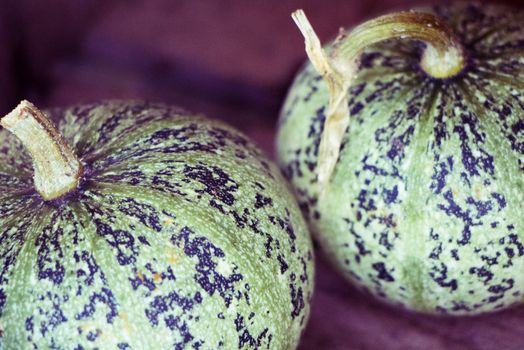 Two nice green decorative pumpkins in Halloween.