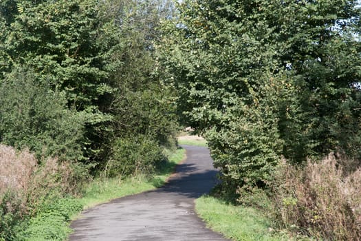 walk in a countryside pathway through trees