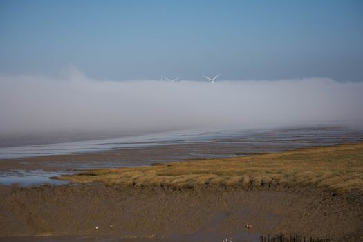 wind turbines are engulfed in a fog bank on an estuary