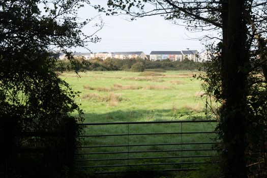 new houses adjoin fields in Somerset