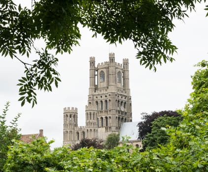 Ely cathedral through trees