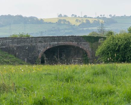 meadow with old bridge and rapeseed field