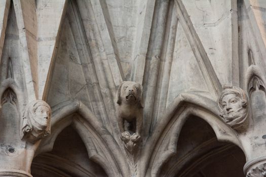 the Archbishop's dog in stone on cathedral wall at York Minster