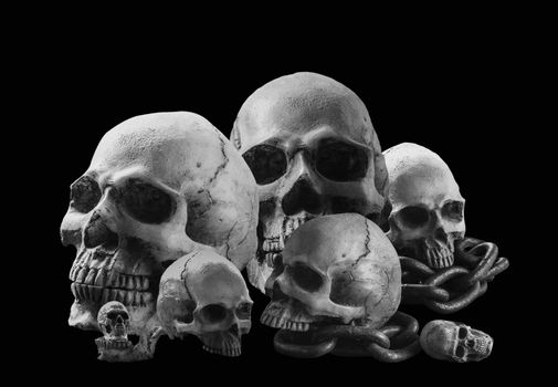 Many old skull with a black and white image.