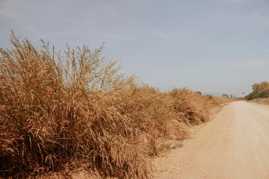 Rural of grassland and roadside with blue sky.