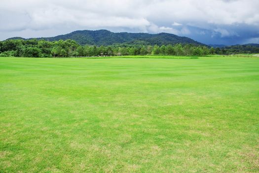 Lawn and mountain in the countryside.