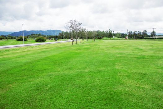 Lawn in the park with nature on mountain.