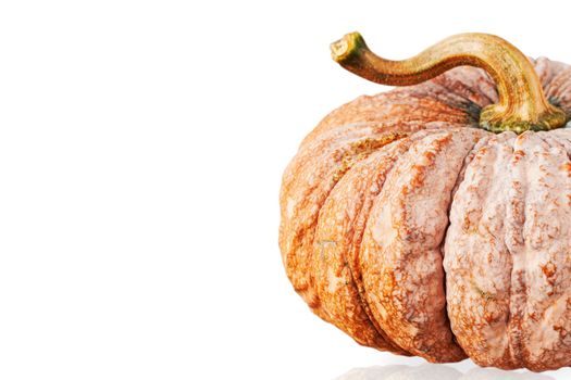 Yellow pumpkin on a white background.