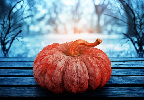 Pumpkin on wooden with park of background.