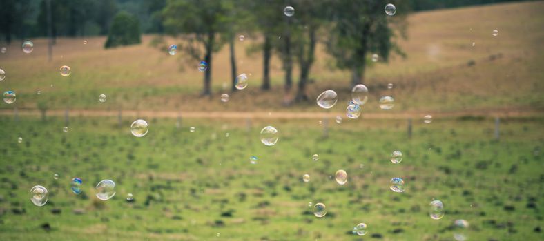 Bubbles floating in the outside amongst a country field.