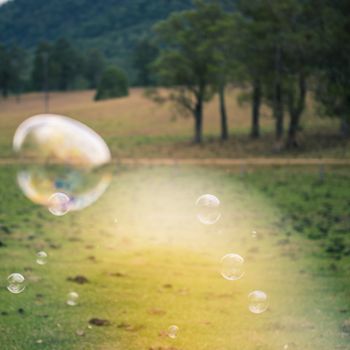 Bubbles floating in the outside amongst a country field.