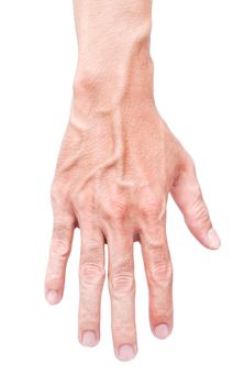 Man hand skin with blood veins on white background, health care and medical concept