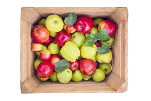 Fresh apples in a wooden box isolated on white background