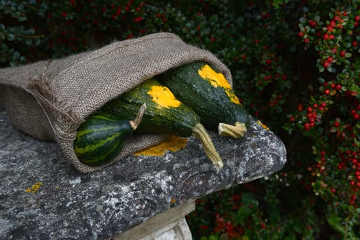 Three green ornamental gourds in a rough sack, on a stone garden seat
