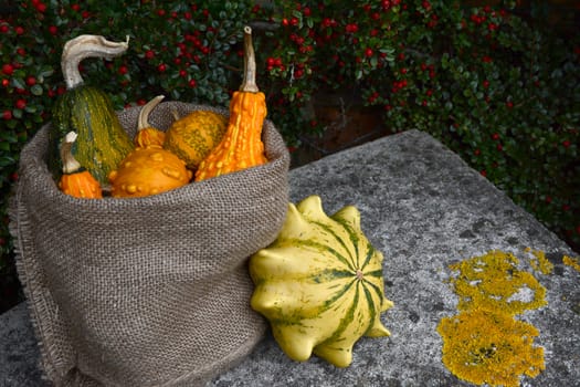 Hessian sack of ornamental gourds on a stone bench with a Crown of Thorns outside. Copy space on lichen-covered seat.