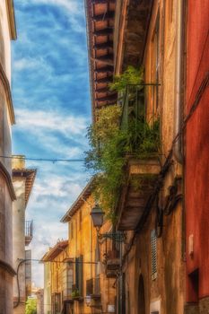 Alley with houses in Mallorca
