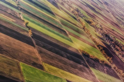 View from above on straight farm fields