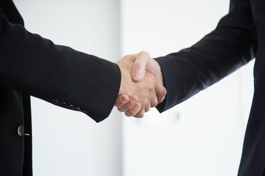 Business people in formal wear shaking hands close up view