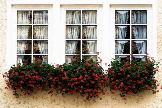 Pretty White Country Windows with Geranium Flower Sill closeup Outdoors