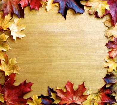 Frame of Variegated Autumn Maple Leafs on Wooden background. Top View