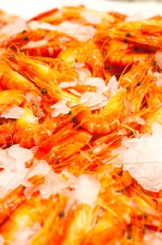 Cooked Scampi Prawn at fish market in Sydney, New South Wales, Australia