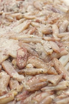 Baby Squid at fish market in Sydney, New South Wales, Australia