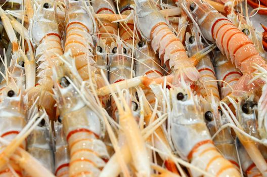 Cooked Scampi Prawn at fish market in Sydney, New South Wales, Australia