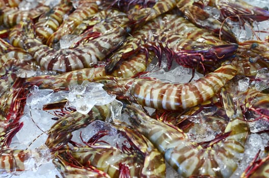 Large Green Tiger Prawns at fish market in Sydney, New South Wales, Australia