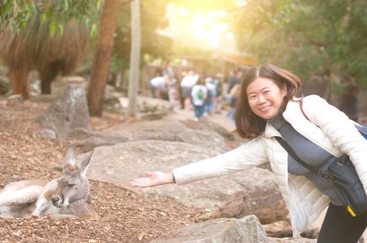 Young girl taking picture with Kangaroo in  Zoo, Australia.