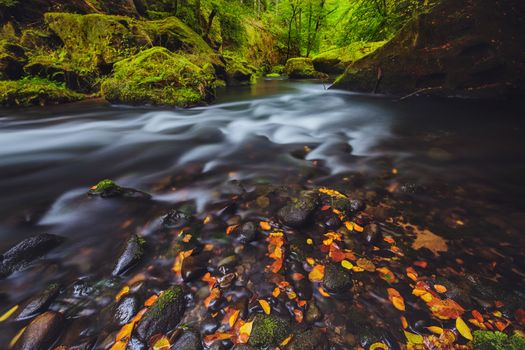 river Kamenice in autumn with long exposure, Bohemian Switzerland, Czech Republic