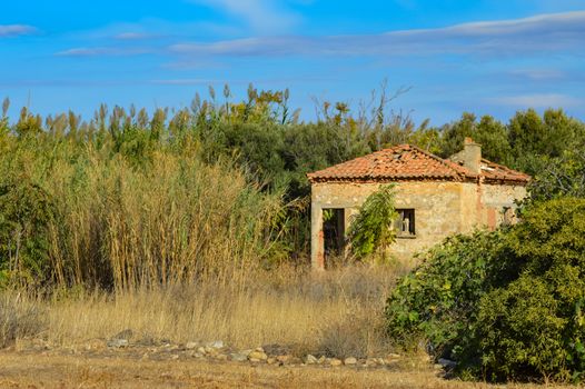 Old house lost in the reeds in the countryside Crete