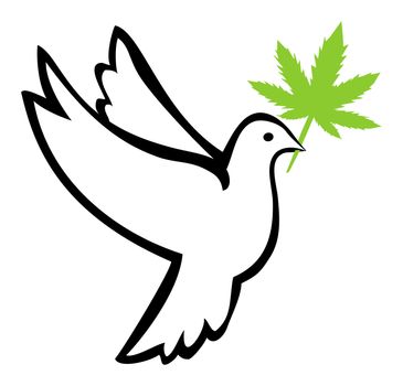 Marijuana use induces peaceful behavior and relieves stress symptoms