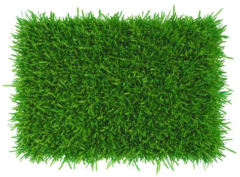 Green grass. natural background texture. high resolution. 3d rendering