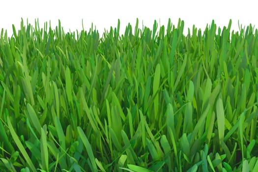 green grass nature. plants lawn. 3d rendering