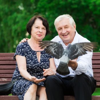 Beautiful elderly couple sits on a bench and feeds pigeons