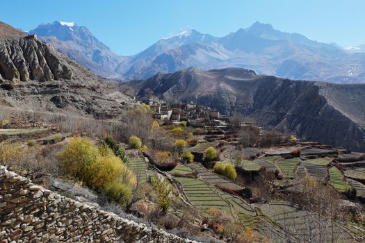 The mountain valley in autumn at an altitude of 4000 meters near the Muktinath